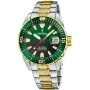 Montre Festina Diver Ditur Special Edition F20706/2 avec cadran Vert, boîtier de 41 mm de diamètre et bracelet Bracelet bicolore en métal de Or, Argent